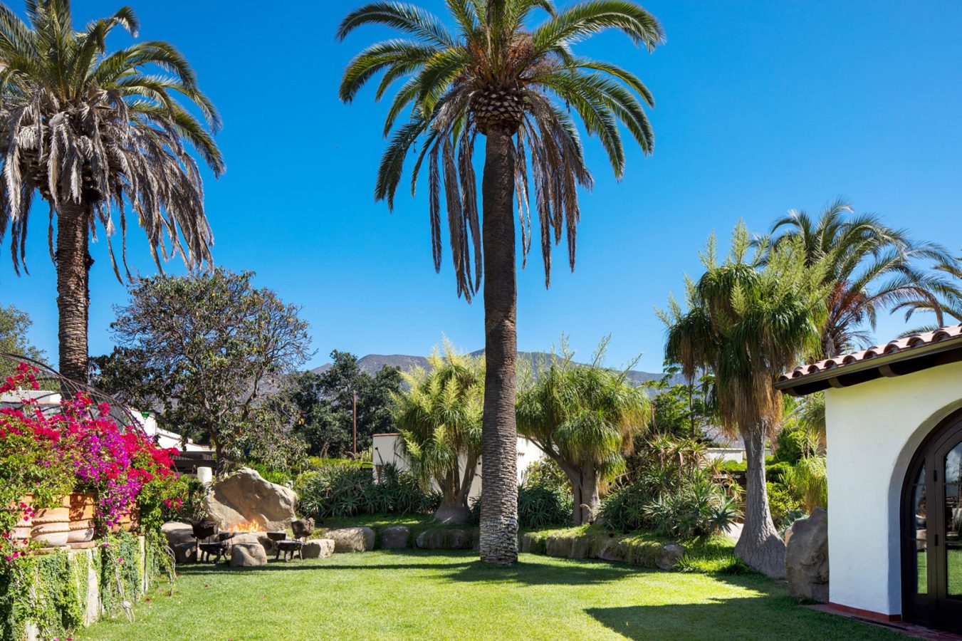 Large palm tree in courtyard with firepit at Hotel El Roblar