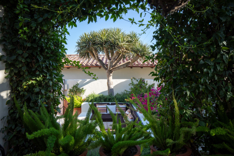 Outside seating area surrounded by greenery