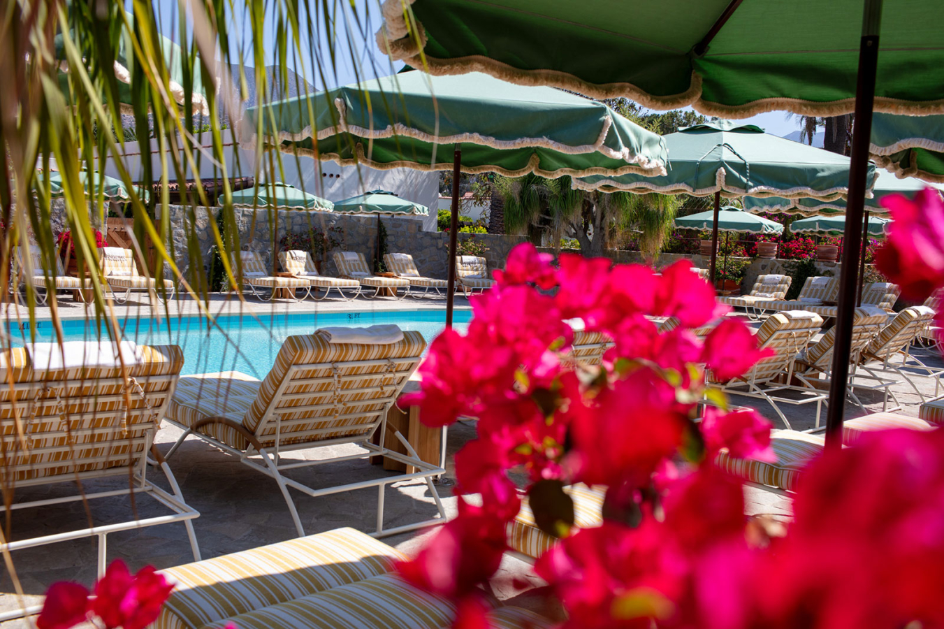 Pool with flowers and palm trees