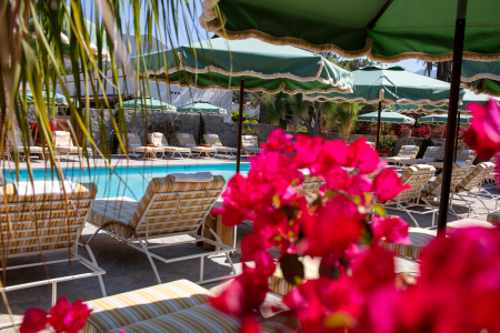 Pool with flowers and palm trees