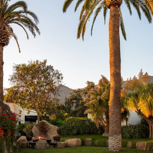 “Ojai was the pot of gold at the end of a long, obstacle-strewn rainbow. From the moment I arrived on March 3, 1948, time ceased.”
 -Beatrice Wood