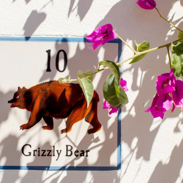 Each of our bungalows pays tribute to one of Ojai’s native species, marked by a hand-painted tile.
