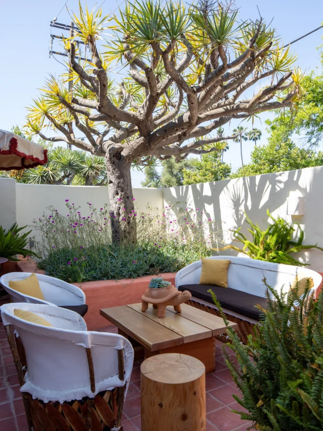 Your little slice of Ojai, the king with terrace.